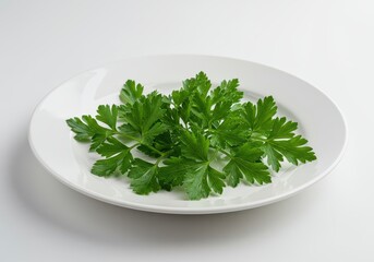 Fresh parsley sprigs rest attractively on a simple white plate, showcasing vibrant green leaves against a plain background.