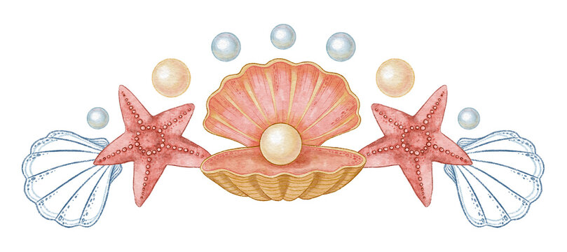 Red five pointed starfish and seashell with pearl watercolor design. Hand drawn line art with dots in colored pencil style. Great for summer travel card or holiday print. Perfect for coastal project.