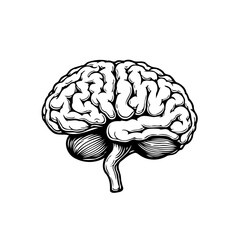 Intricate human brain illustration showcasing neural pathways knowledge representation for medical