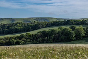 Looking towards Kingston Ridge in the South Downs, on a sunny late spring day © lemanieh