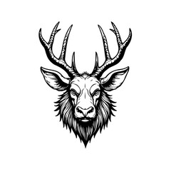 Majestic Stag Illustration with Elaborate Antlers and Detailed Fur, A Symbol of Wilderness and Grace