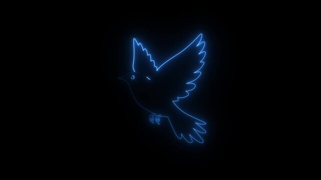 bird, glow, abstract, illustration, black, bright, concept, flying, element, freedom, futuristic, isolated, shape, wing, animal, design, icon, neon, symbol, background, colorful, spiritual, dove, dra
