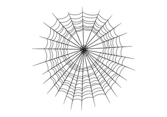 Fototapeta premium Intricate spiderweb with a spider at its center on a white background