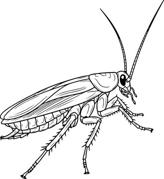 black and white cockroach insect profile clip art preview