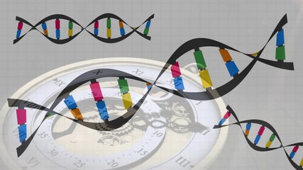 Grid rising stylized DNA helices undulating and rotating over clock face showing genetic cycles - Powered by Adobe