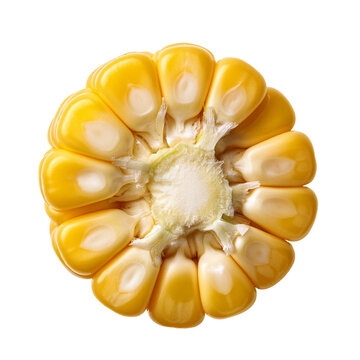 A singel corn, a piece of and seeds on a white, isolated. The view from the top view 