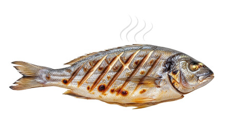 Isolated cooked sea bream grilled fish food dish recipe seafood cuisine gastronomy delicacy