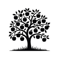 Obraz premium Silhouette of a lush apple tree laden with ripe fruit standing in grassy ground