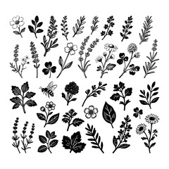 Various hand-drawn black botanical herbs, flowers, and leaves, sketched style, isolated on white background, representing natural flora design