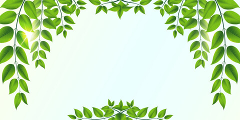 Obraz premium Green leaves on a beautiful background. Vector illustration
