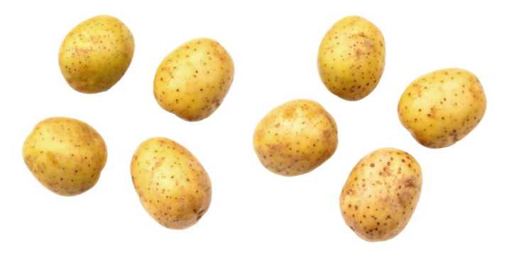 Eight raw potatoes falling on transparent background