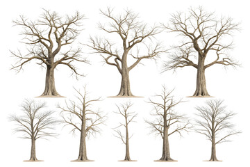 Obraz premium Collection of ten bare winter trees with frost on branches isolated on transparent background