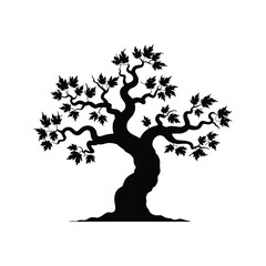 Silhouette of a gnarled maple tree with detailed branches and leaves against a