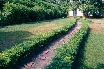 last steps of mahatma gandhi path in the garden 