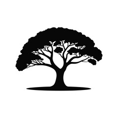 Silhouette of a majestic deciduous tree with a full canopy of leaves and sprawling branches casting a shadow.