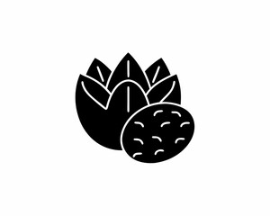 creative details Shea Butter icon vector illustration	