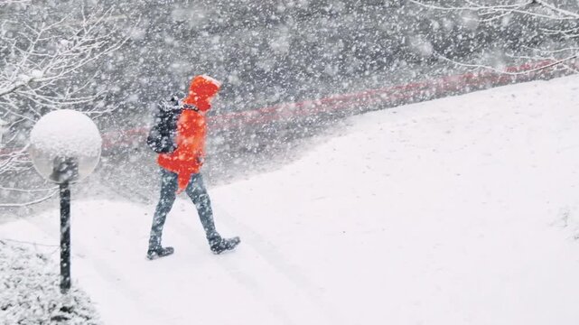 Heavy snowfall heralds the start of the winter season in the suburbs of a major city, filmed in slow motion to reveal snowflakes in glorious detail