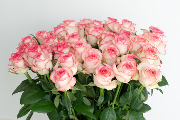 Beautiful bouquet of fresh pink roses with delicate petals, arranged closely together. Romantic floral background perfect for weddings, Valentine’s Day, anniversaries, and special celebrations