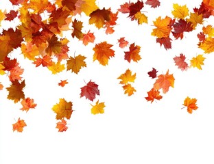 Falling autumn leaves against white background (5)