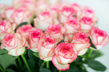 Elegant bouquet of pink and cream roses close up. Romantic floral background perfect for weddings, Valentine’s Day, anniversaries