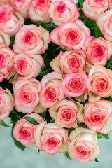 Elegant bouquet of pink and cream roses close up. Romantic floral background perfect for weddings, Valentine’s Day, anniversaries