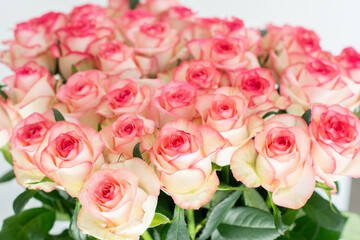 Elegant bouquet of pink and cream roses close up. Romantic floral background perfect for weddings, Valentine’s Day, anniversaries
