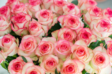 Elegant bouquet of pink and cream roses close up. Romantic floral background perfect for weddings, Valentine’s Day, anniversaries