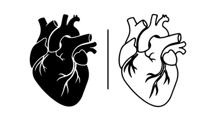 Anatomical human heart illustrations in silhouette and line art style.