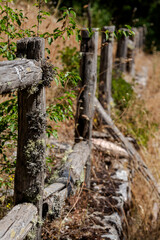 Old log fence in the forest close-up