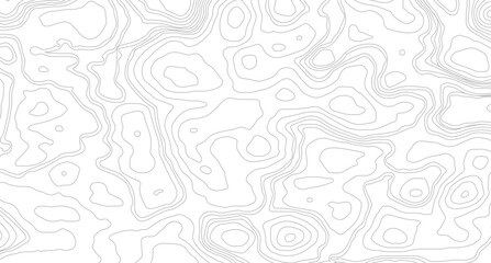 Topographic map contour background. Contour map vector