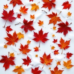 Fototapeta premium Vibrant Red and Orange Maple Leaves on White Background