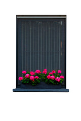 window with flowers isolated on white 