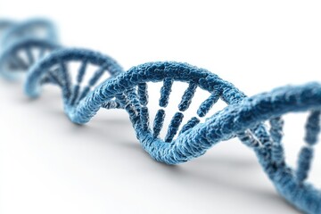 3D render of a DNA double helix.  A stylized,  blue, textured DNA strand coils.  Visible  pairs of  connected  bases.  Isolated on white background