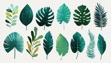 Obraz premium Tropical leaf collection (1)