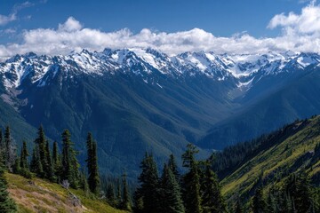 Majestic Olympic National Park Mountains