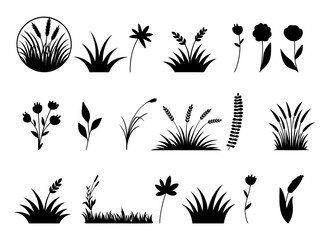 A black vector silhouette set of various palm and pine trees with tropical leaves