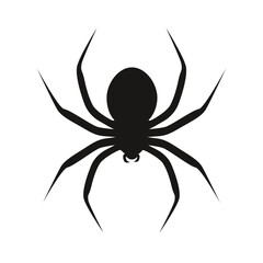 Vector simple black spider silhouette isolated on white background