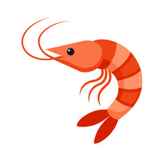 vector illustration of shrimp fish