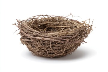 Empty bird's nest, twigs, shallow, round, light brown