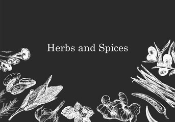 Herbs and Spices. Hand-drawn illustration of plants and objects. Ink. Vector	