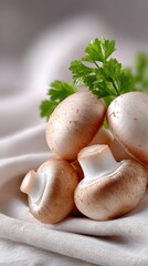 A close-up view of fresh white mushrooms with parsley on a smooth white background, highlighting their cleanliness and freshness