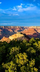 Grand Canyon vista at dawn, with trees in foreground