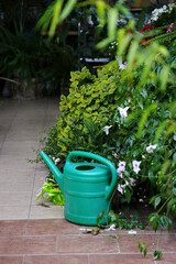 A green watering can standing on tiles next to bushes and flowers © Svitlana Kolycheva