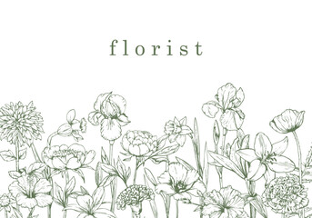 Flower Shop. Florist. Hand-drawn illustration of flowers. Ink. Vector