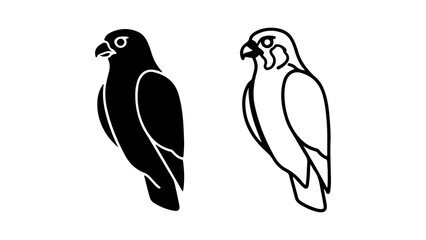 Elegant Falcon Silhouette and Outline A Study in Contrasting Styles.