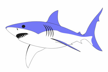 shark vector illustration