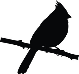 Silhouette of a crested bird perched on a branch, perfect for nature, wildlife, forestSilhouette of a crested bird perched on a branch, perfect for nature, wildlife, forest