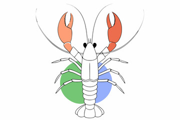 butterfly on a white background