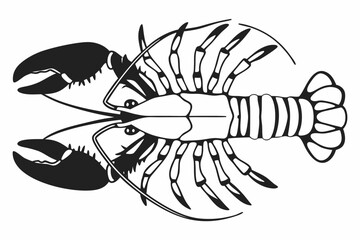 lobster vector illustration