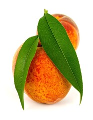 Two peaches with leaves